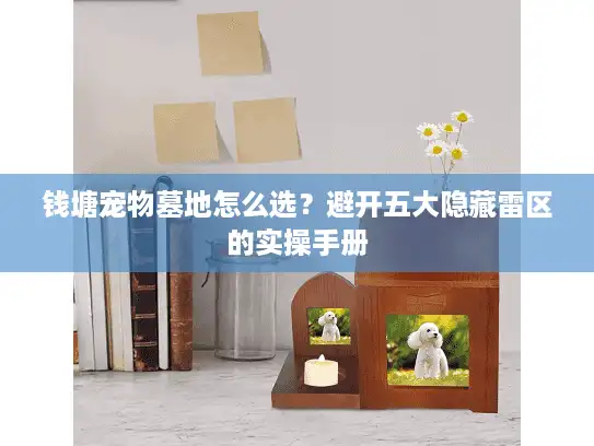 钱塘宠物墓地怎么选？避开五大隐藏雷区的实操手册