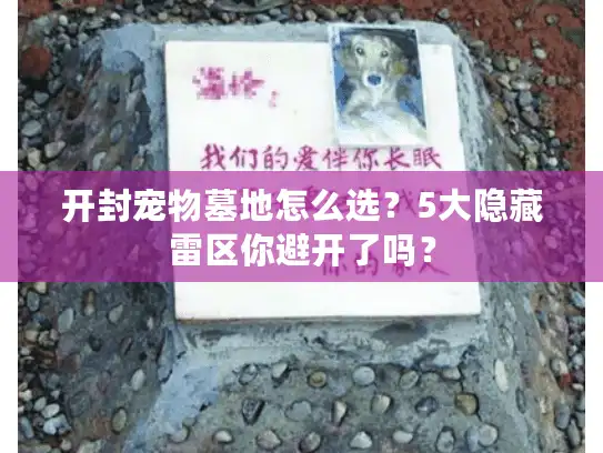 开封宠物墓地怎么选？5大隐藏雷区你避开了吗？