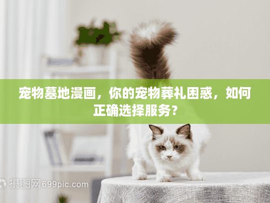 宠物墓地漫画，你的宠物葬礼困惑，如何正确选择服务？