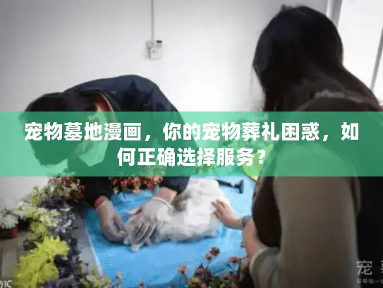 宠物墓地漫画，你的宠物葬礼困惑，如何正确选择服务？