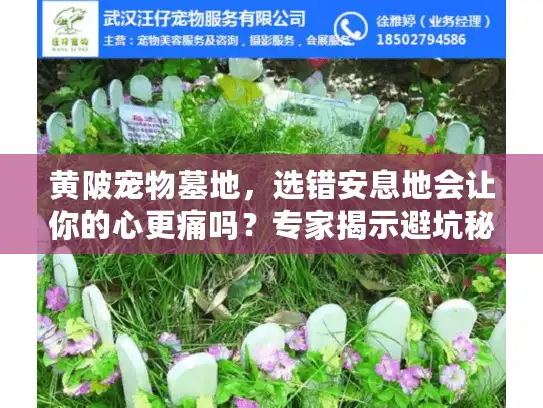黄陂宠物墓地，选错安息地会让你的心更痛吗？专家揭示避坑秘诀
