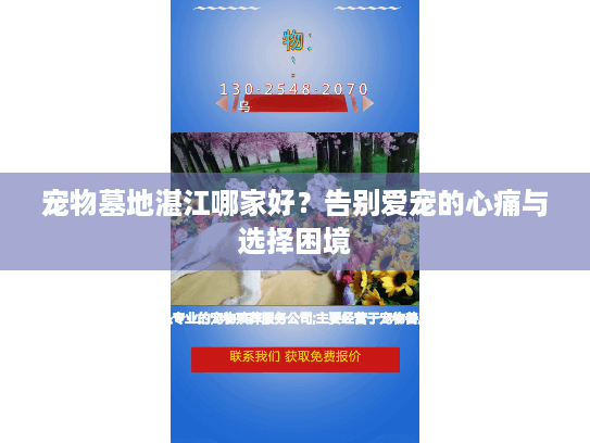宠物墓地湛江哪家好？告别爱宠的心痛与选择困境