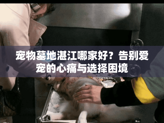 宠物墓地湛江哪家好？告别爱宠的心痛与选择困境