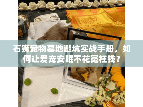 石狮宠物墓地避坑实战手册，如何让爱宠安眠不花冤枉钱？