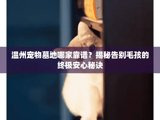 温州宠物墓地哪家靠谱？揭秘告别毛孩的终极安心秘诀