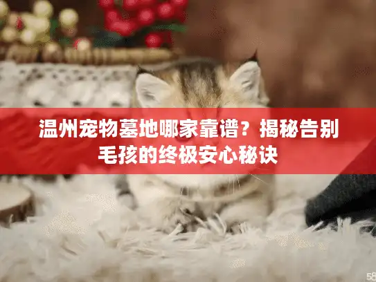 温州宠物墓地哪家靠谱？揭秘告别毛孩的终极安心秘诀