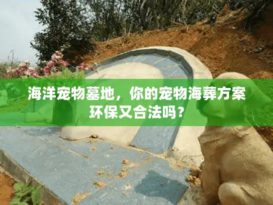 海洋宠物墓地，你的宠物海葬方案环保又合法吗？