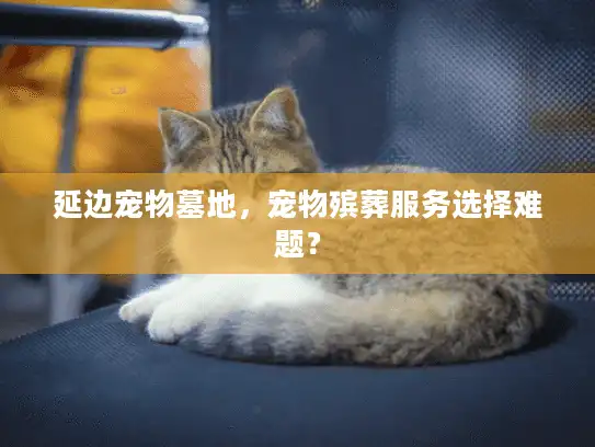 延边宠物墓地,宠物殡葬服务选择难题? 延边宠物墓地,宠物殡葬服务选择难题?