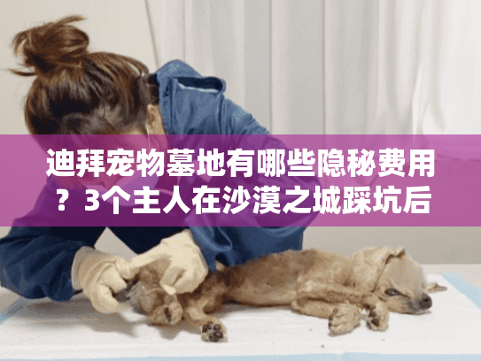 迪拜宠物墓地有哪些隐秘费用？3个主人在沙漠之城踩坑后的真实选择