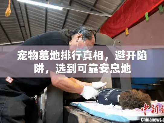 宠物墓地排行真相，避开陷阱，选到可靠安息地