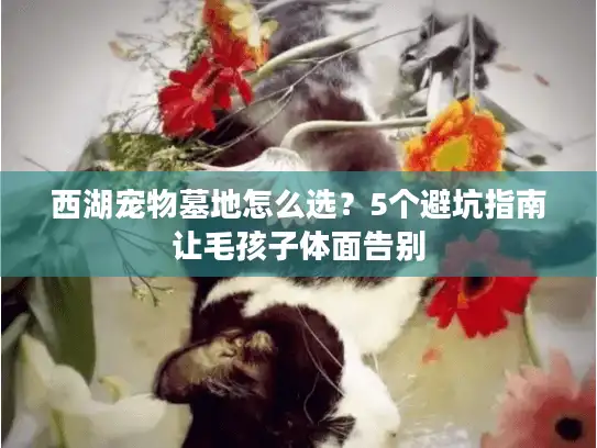 西湖宠物墓地怎么选？5个避坑指南让毛孩子体面告别
