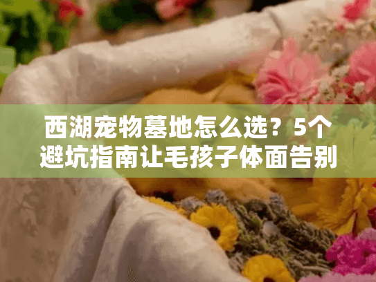 西湖宠物墓地怎么选？5个避坑指南让毛孩子体面告别