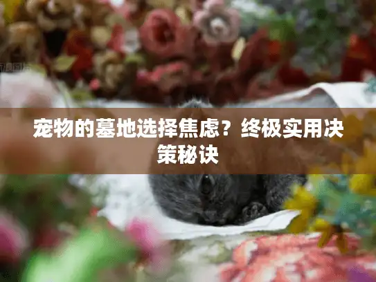 宠物的墓地选择焦虑？终极实用决策秘诀