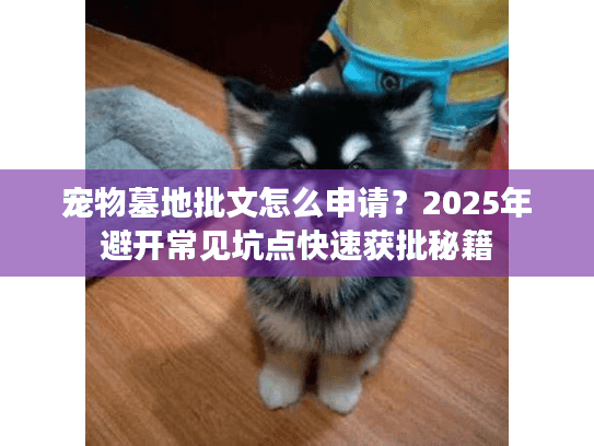 宠物墓地批文怎么申请？2025年避开常见坑点快速获批秘籍