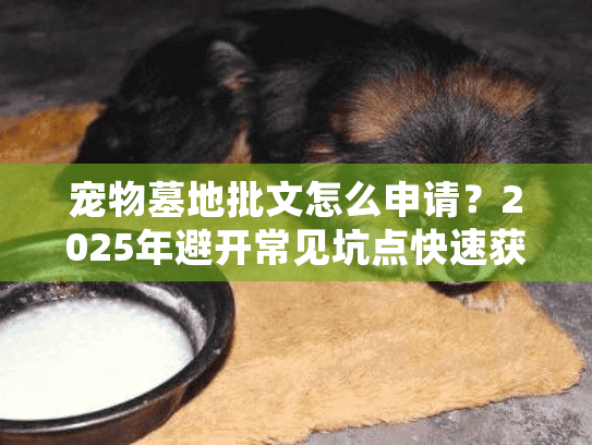 宠物墓地批文怎么申请？2025年避开常见坑点快速获批秘籍