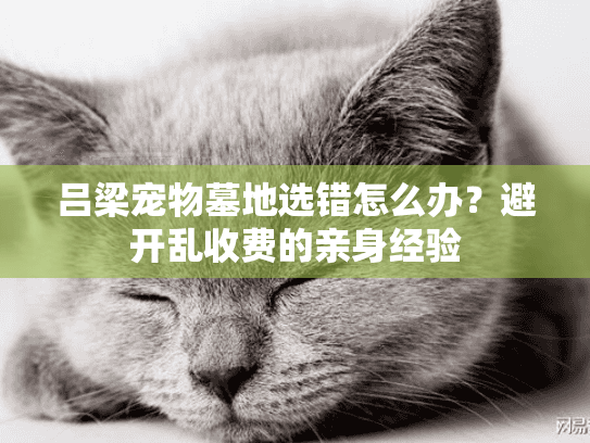 吕梁宠物墓地选错怎么办?避开乱收费的亲身经验 吕梁宠物墓地选错怎么办?避开乱收费的亲身经验