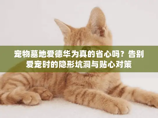 宠物墓地爱德华为真的省心吗?告别爱宠时的隐形坑洞与贴心对策 宠物墓地爱德华为真的省心吗?告别爱宠时的隐形坑洞与贴心对策