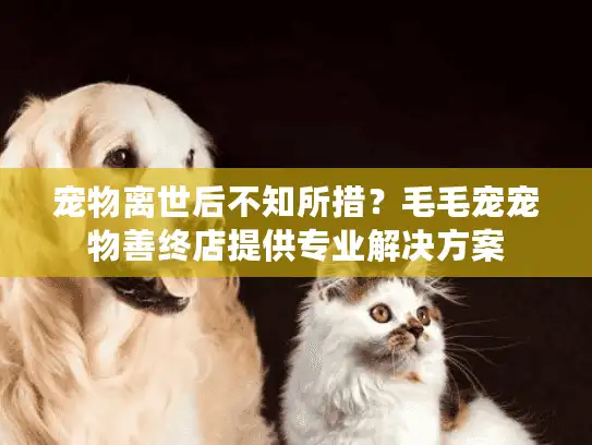 宠物离世后不知所措?毛毛宠宠物善终店提供专业解决方案 宠物离世后不知所措?毛毛宠宠物善终店提供专业解决方案