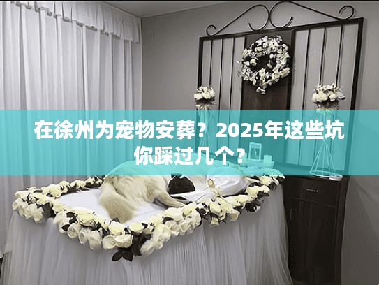 在徐州为宠物安葬？2025年这些坑你踩过几个？