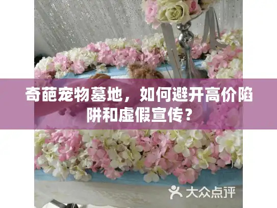 奇葩宠物墓地，如何避开高价陷阱和虚假宣传？