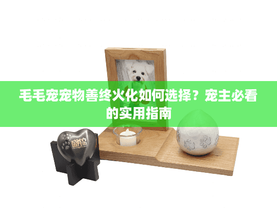 毛毛宠宠物善终火化如何选择？宠主必看的实用指南