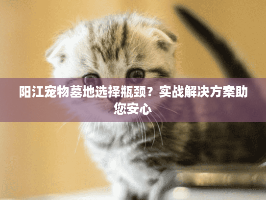 阳江宠物墓地选择瓶颈？实战解决方案助您安心