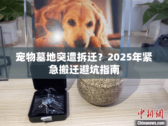 宠物墓地突遭拆迁？2025年紧急搬迁避坑指南
