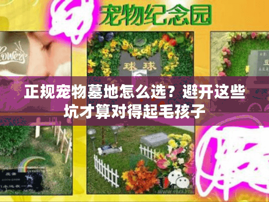 正规宠物墓地怎么选?避开这些坑才算对得起毛孩子 正规宠物墓地怎么选?避开这些坑才算对得起毛孩子
