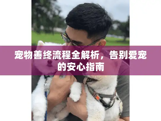宠物善终流程全解析,告别爱宠的安心指南 宠物善终流程全解析,告别爱宠的安心指南