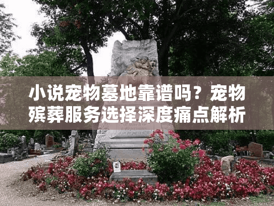 小说宠物墓地靠谱吗？宠物殡葬服务选择深度痛点解析