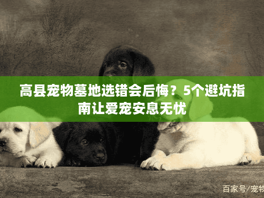 高县宠物墓地选错会后悔？5个避坑指南让爱宠安息无忧
