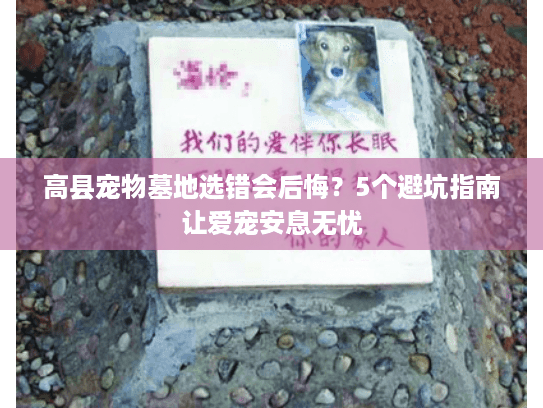 高县宠物墓地选错会后悔？5个避坑指南让爱宠安息无忧