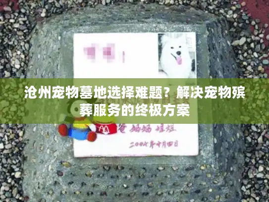沧州宠物墓地选择难题?解决宠物殡葬服务的终极方案 沧州宠物墓地选择难题?解决宠物殡葬服务的终极方案