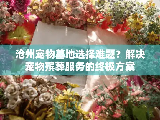 沧州宠物墓地选择难题?解决宠物殡葬服务的终极方案 沧州宠物墓地选择难题?解决宠物殡葬服务的终极方案
