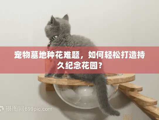 宠物墓地种花难题，如何轻松打造持久纪念花园？