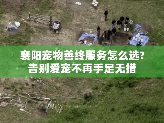 襄阳宠物善终服务怎么选?告别爱宠不再手足无措