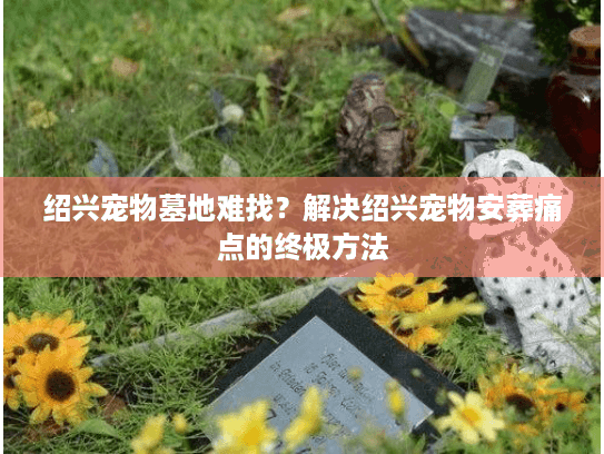 绍兴宠物墓地难找？解决绍兴宠物安葬痛点的终极方法
