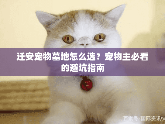 迁安宠物墓地怎么选？宠物主必看的避坑指南