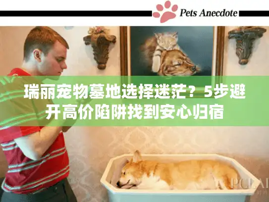 瑞丽宠物墓地选择迷茫？5步避开高价陷阱找到安心归宿