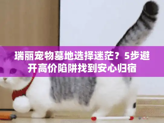 瑞丽宠物墓地选择迷茫？5步避开高价陷阱找到安心归宿