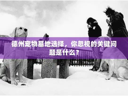 德州宠物墓地选择，你忽视的关键问题是什么？