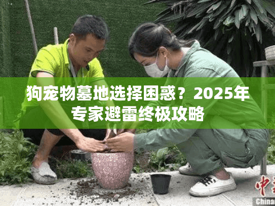 狗宠物墓地选择困惑？2025年专家避雷终极攻略