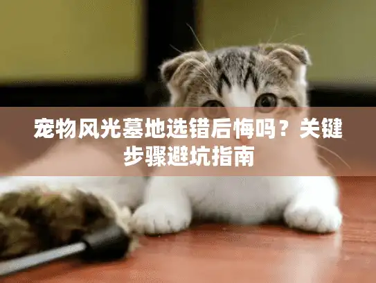 宠物风光墓地选错后悔吗？关键步骤避坑指南