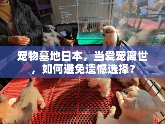 宠物墓地日本,当爱宠离世,如何避免遗憾选择? 宠物墓地日本,当爱宠离世,如何避免遗憾选择?
