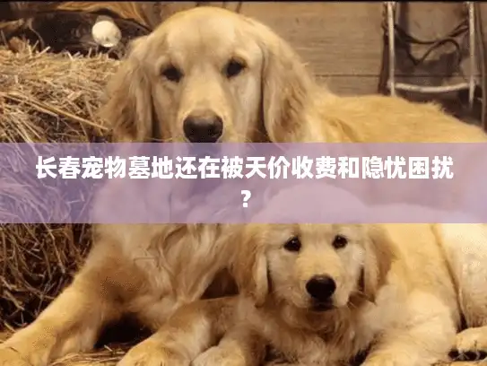 长春宠物墓地还在被天价收费和隐忧困扰？
