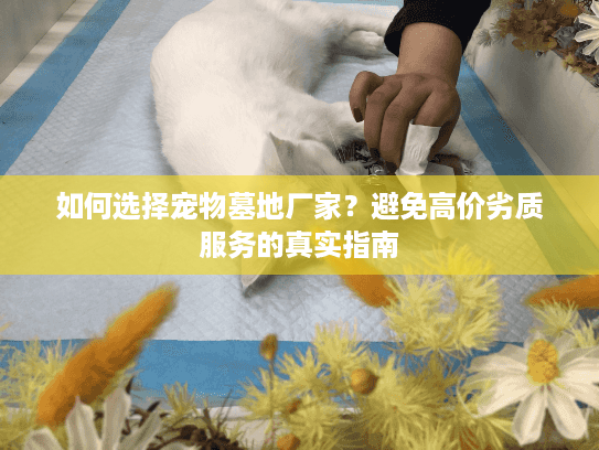 如何选择宠物墓地厂家？避免高价劣质服务的真实指南