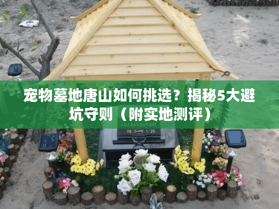 宠物墓地唐山如何挑选?揭秘5大避坑守则(附实地测评) 宠物墓地唐山如何挑选?揭秘5大避坑守则(附实地测评)