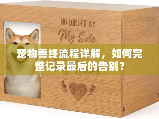 宠物善终流程详解,如何完整记录最后的告别? 宠物善终流程详解,如何完整记录最后的告别?