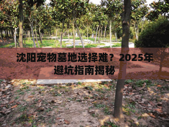 沈阳宠物墓地选择难?2025年避坑指南揭秘 沈阳宠物墓地选择难?2025年避坑指南揭秘