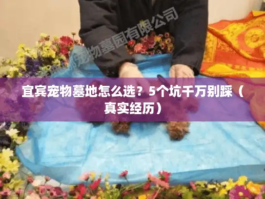 宜宾宠物墓地怎么选?5个坑千万别踩(真实经历) 宜宾宠物墓地怎么选?5个坑千万别踩(真实经历)